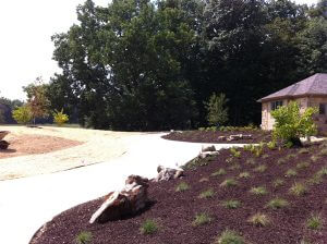 Yard Design Pictures