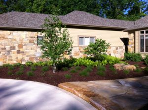 Outdoor Landscaping Design