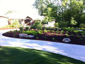 Beautiful Landscapes View