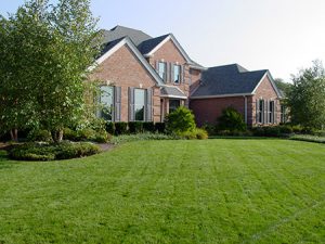 Curb Appeal Landscaping
