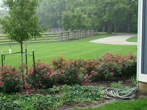 The Martin Residence