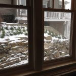 Window View of a Home