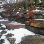 Winter Landscaping