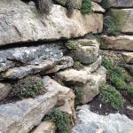 Landscaping with Rocks and Shrubs