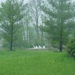 Spring Landscaping Pictures