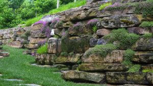 Backyard Landscaping with Stone