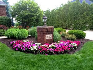 Small Backyard Design