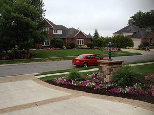 Paragon Landscape Portfolio Pictures