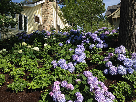 Landscape design company in Fort Wayne, IN | Paragon Landscape