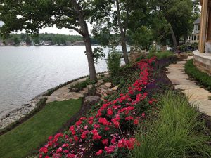 Landscaping with Trees across River