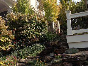 Large Stepping Stone Landscaping