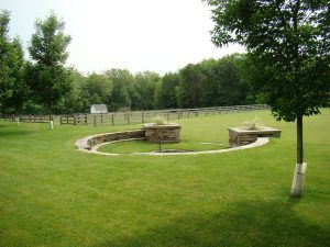 Landscaping around Trees