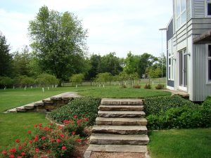 Stepping Stone Landscaping Design