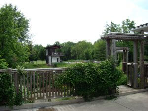 Beautiful Garden View